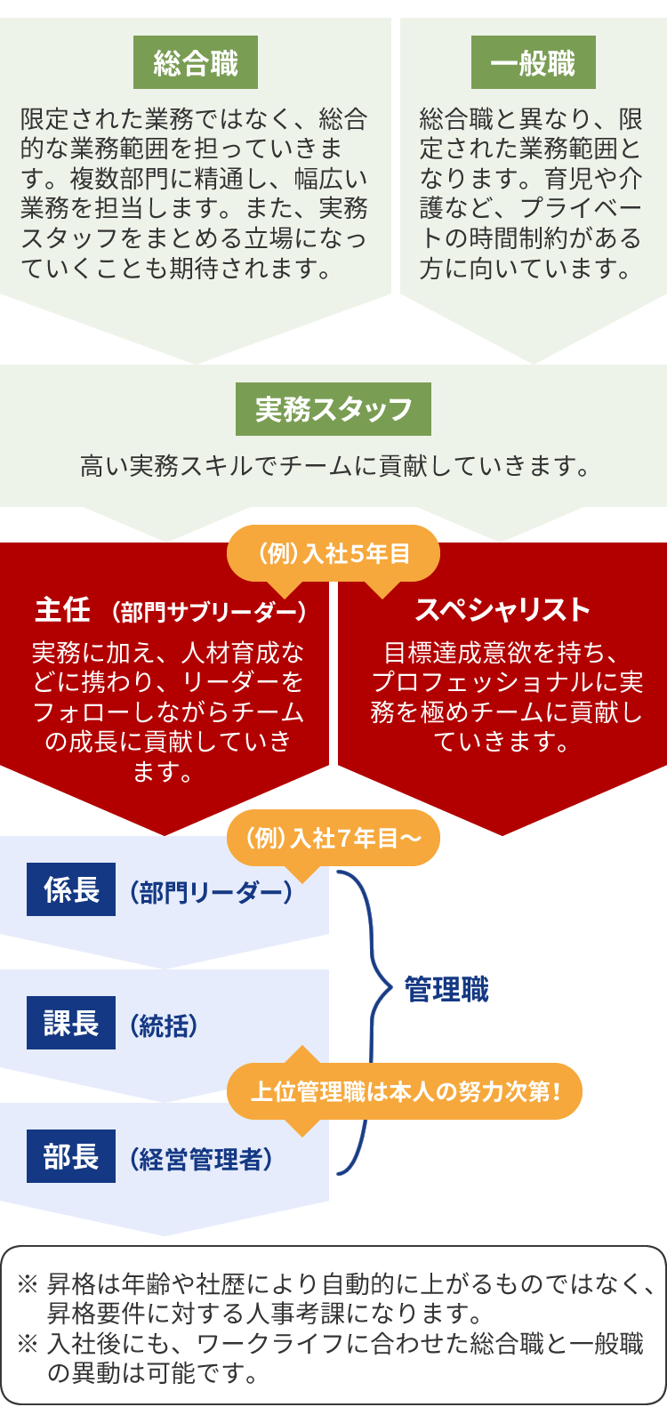 採用に関する図